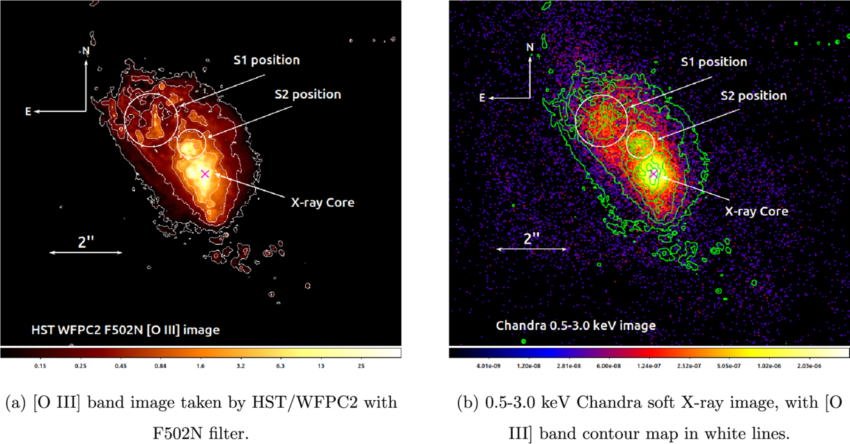 Figure 2. Refer to the following caption and surrounding text.