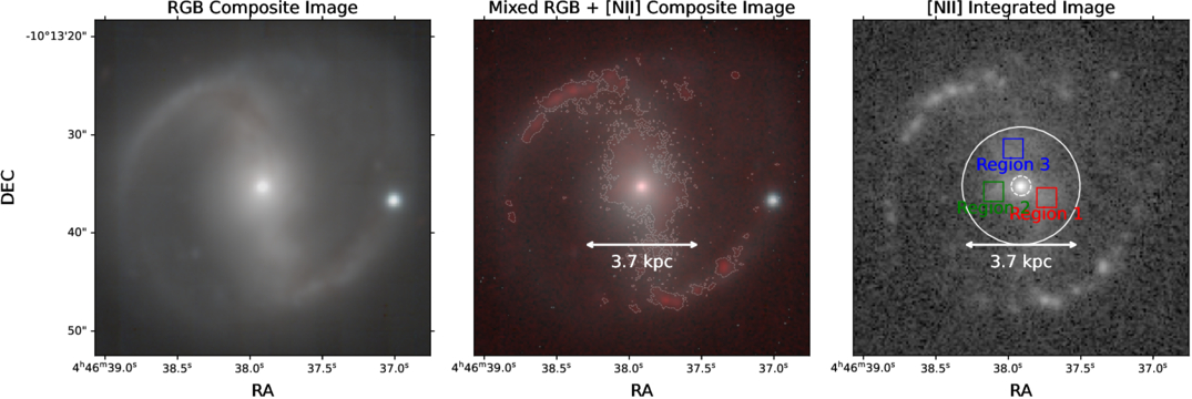 Figure 1. Refer to the following caption and surrounding text.