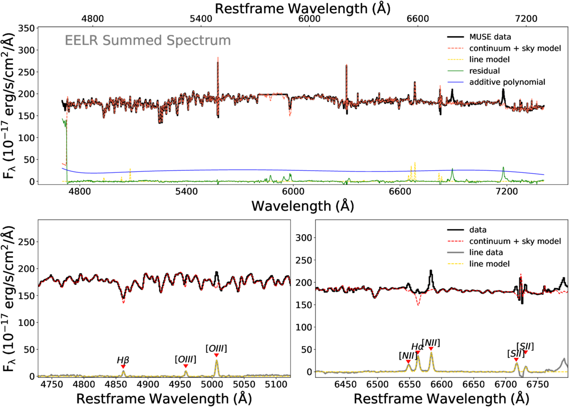Figure 2. Refer to the following caption and surrounding text.