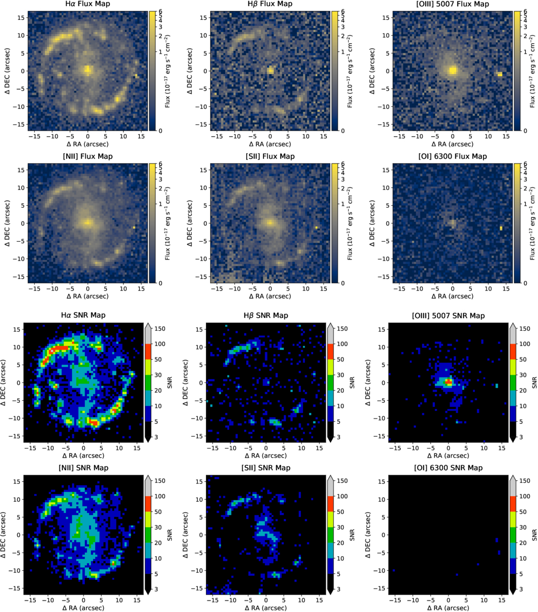 Figure 4. Refer to the following caption and surrounding text.