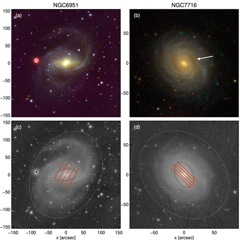 Figure 1. Refer to the following caption and surrounding text.