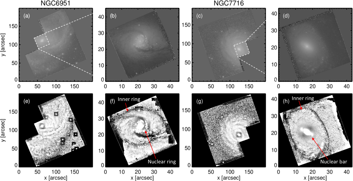 Figure 3. Refer to the following caption and surrounding text.