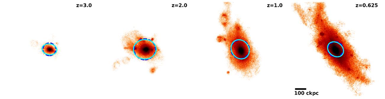 Figure 5. Refer to the following caption and surrounding text.