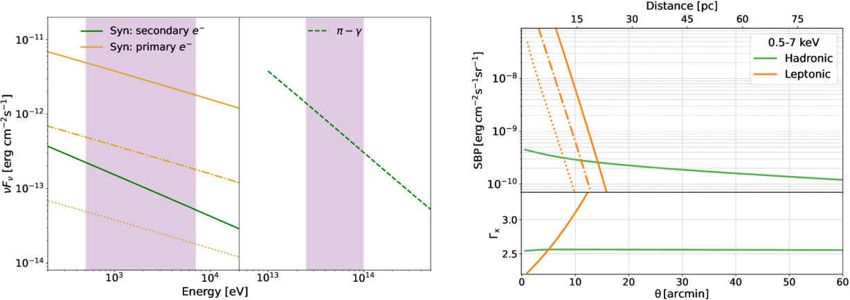 Spatial Distribution of Secondary Electrons’ Synchrotron Emission ...