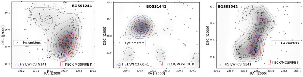 Figure 1. Refer to the following caption and surrounding text.