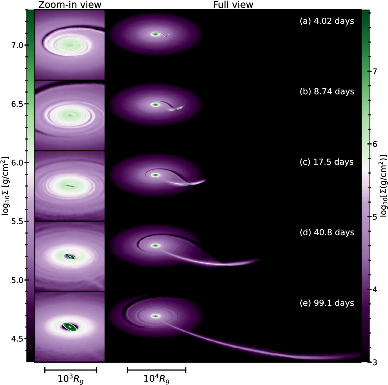 Tidal Disruption Events in Active Galactic Nuclei: on Orbital