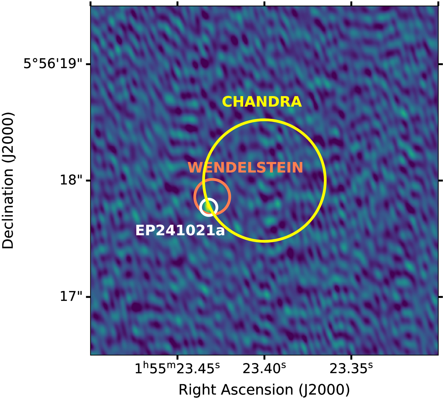 Radio Observations Point to a Moderately Relativistic Outflow in