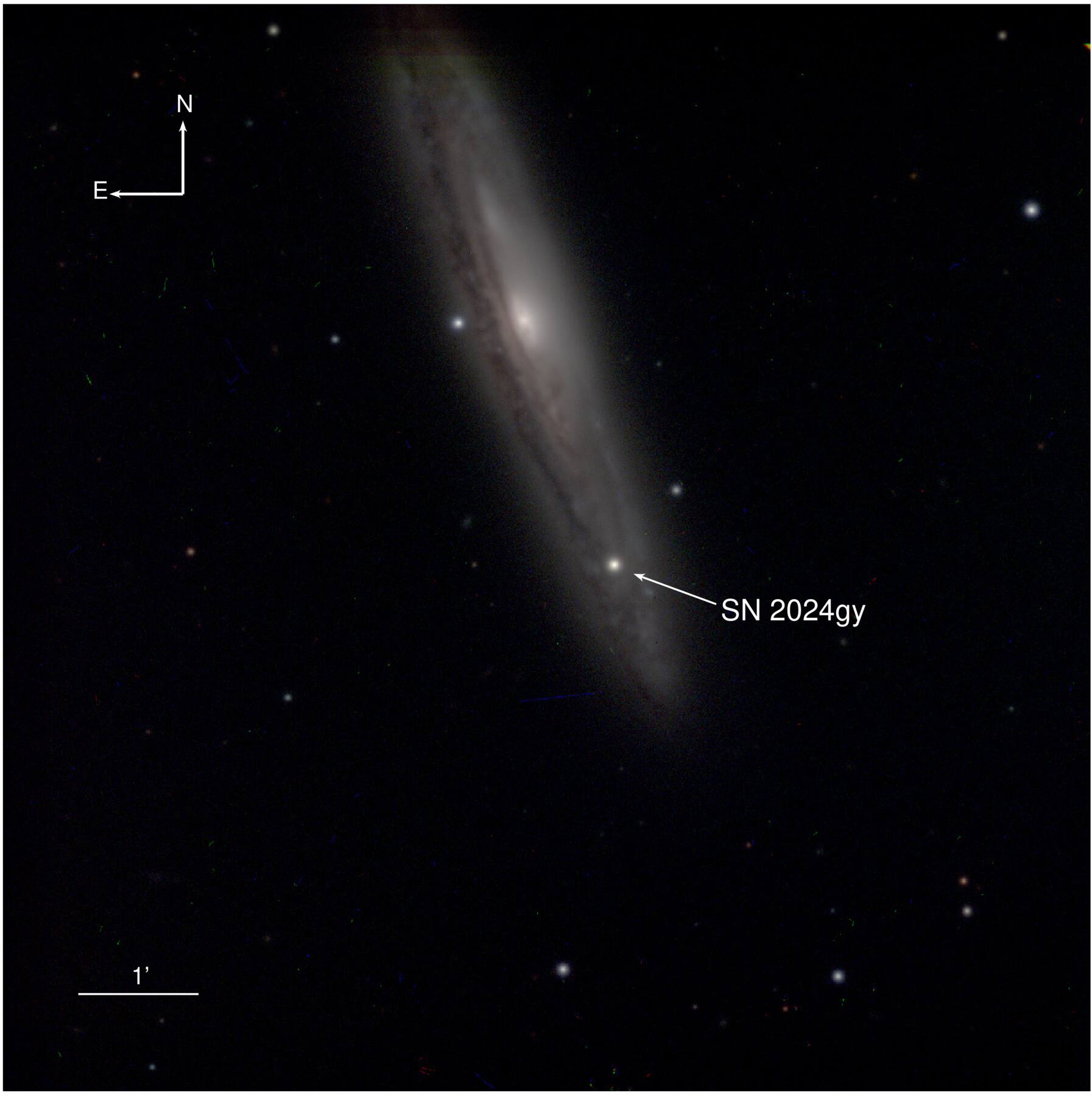 超新星SN 2024gyの観測でIa型超新星の遅延爆発モデルを支持（SN 2024gy Observations Support Ia Supernova Delayed-Detonation Model）
