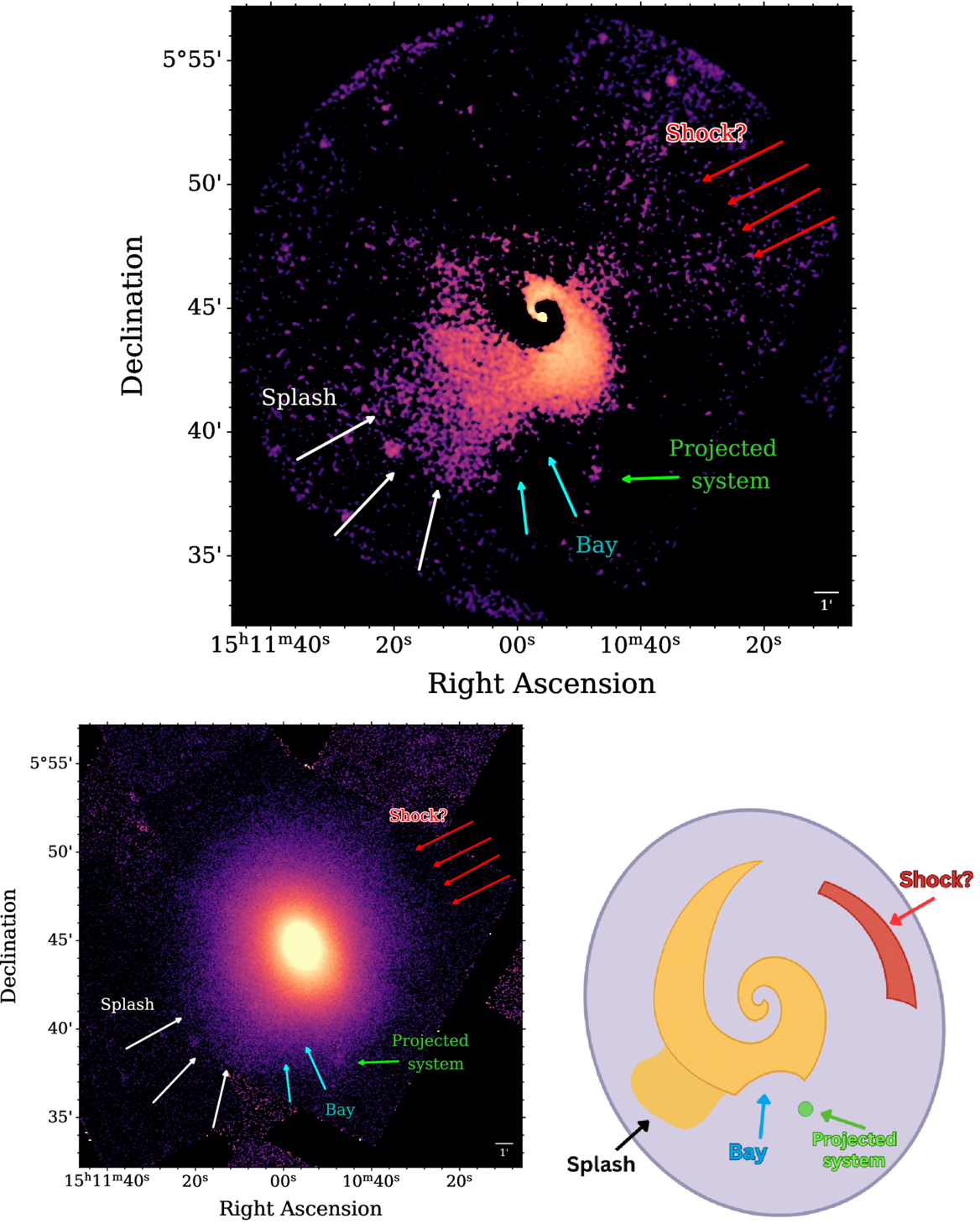 Deep Chandra X-Ray Observations of A2029: The Merger History of a ...