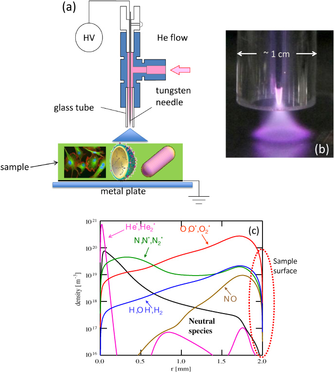 The emerging role of reactive oxygen and nitrogen species in redox ...