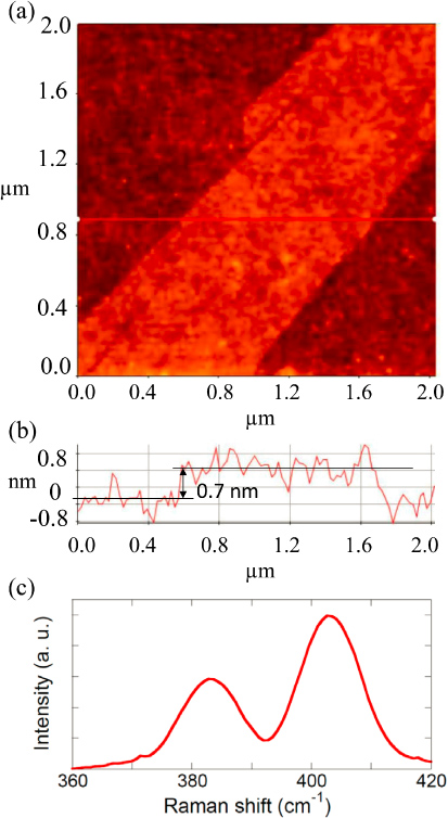 Mobility enhancement and highly efficient gating of monolayer MoS2 ...