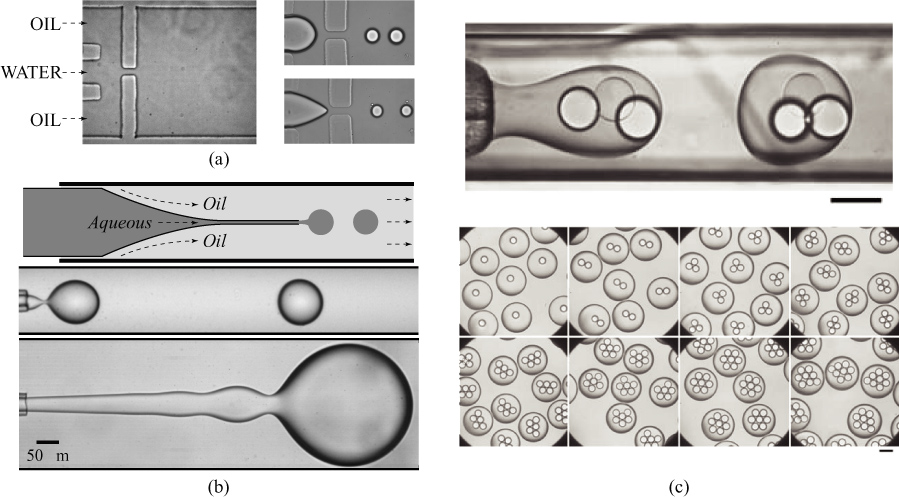 A review of the theory, methods and recent applications of high ...