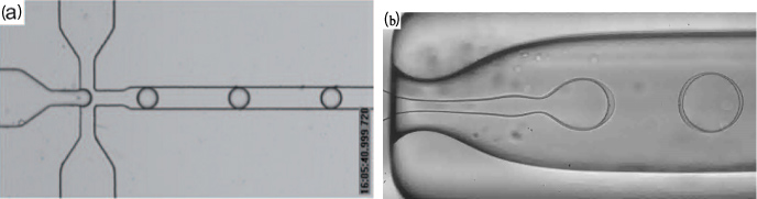 Large-scale droplet production in microfluidic devices—an industrial ...