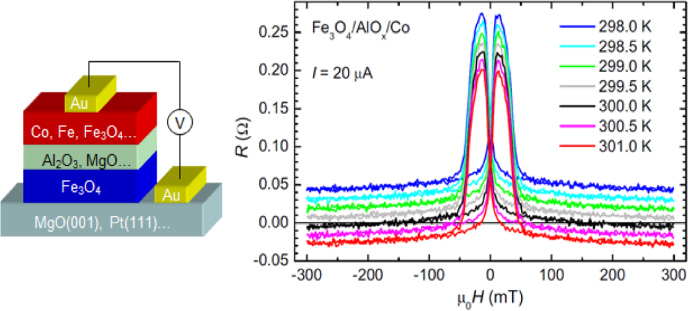 From epitaxial growth of ferrite thin films to spin-polarized