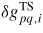 $\delta g_{pq,i}^{{\rm TS}}$