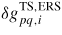 $\delta g_{pq,i}^{{\rm TS,ERS}}$