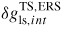 $\delta g_{{\rm ls,}int}^{{\rm TS,ERS}}$