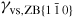 $\gamma_{{\rm vs,ZB}\{1\,\bar{{1}}\,0\}}$
