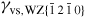 $\gamma_{{\rm vs,WZ}\{\bar{{1}}\,2\,\bar{{1}}\,0\}}$