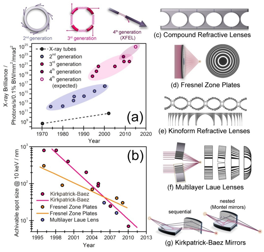 Low-dimensional systems investigated by x-ray absorption