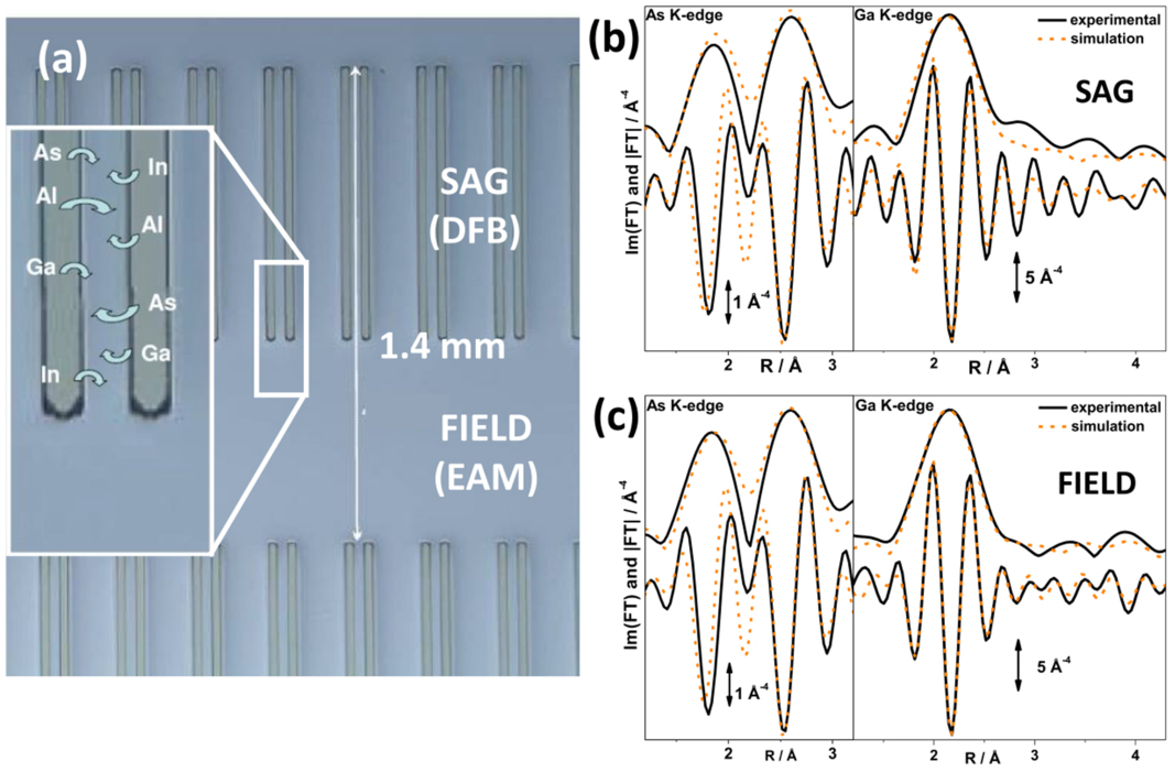Low-dimensional systems investigated by x-ray absorption