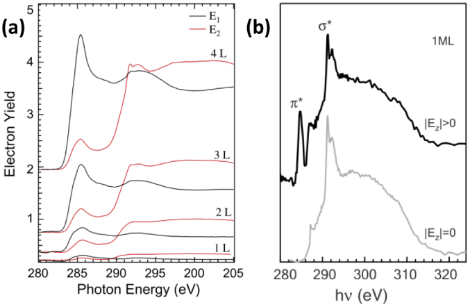 Low-dimensional systems investigated by x-ray absorption