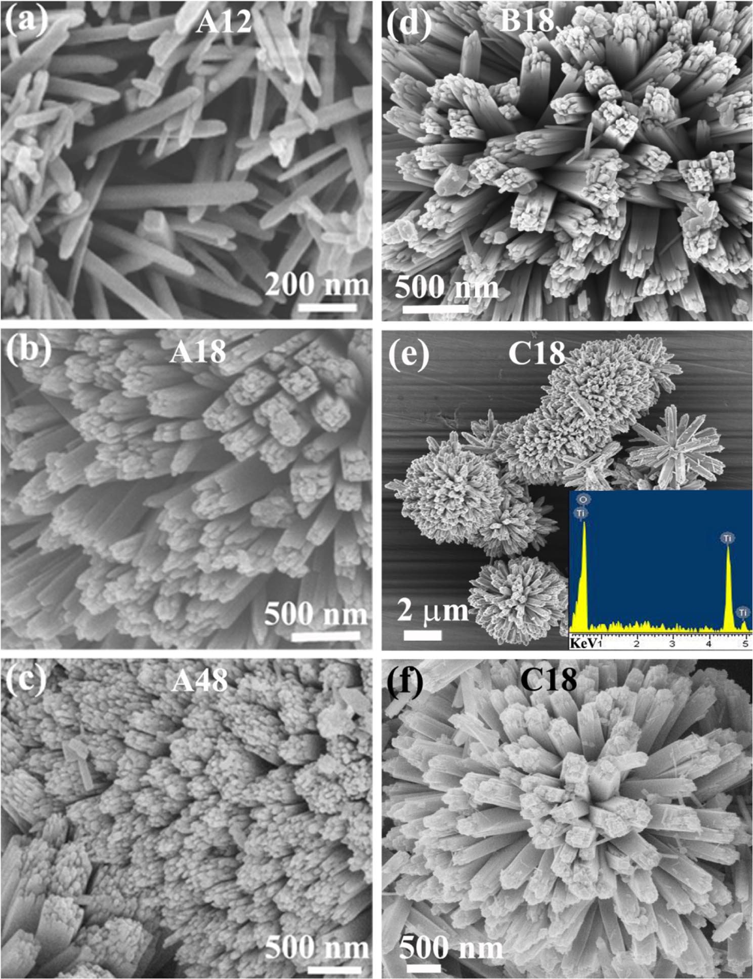 Microscopic origin of lattice contraction and expansion in undoped ...