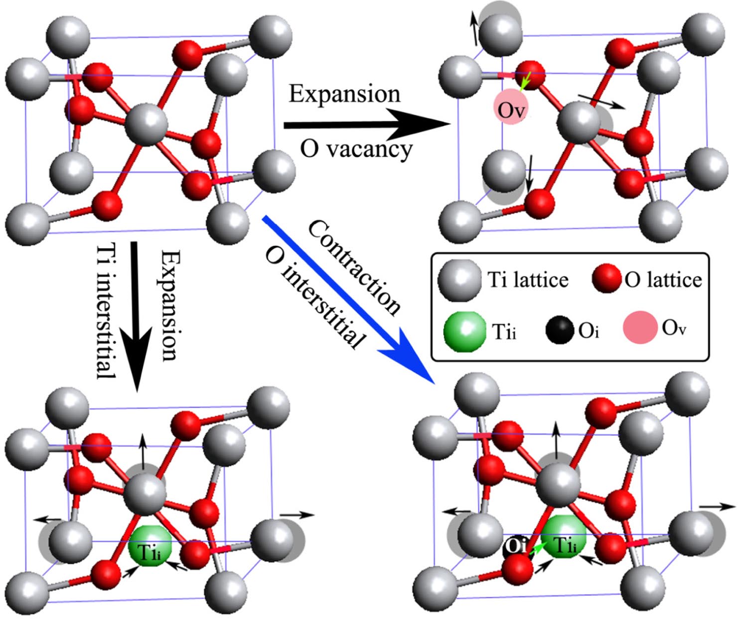 Microscopic origin of lattice contraction and expansion in undoped ...