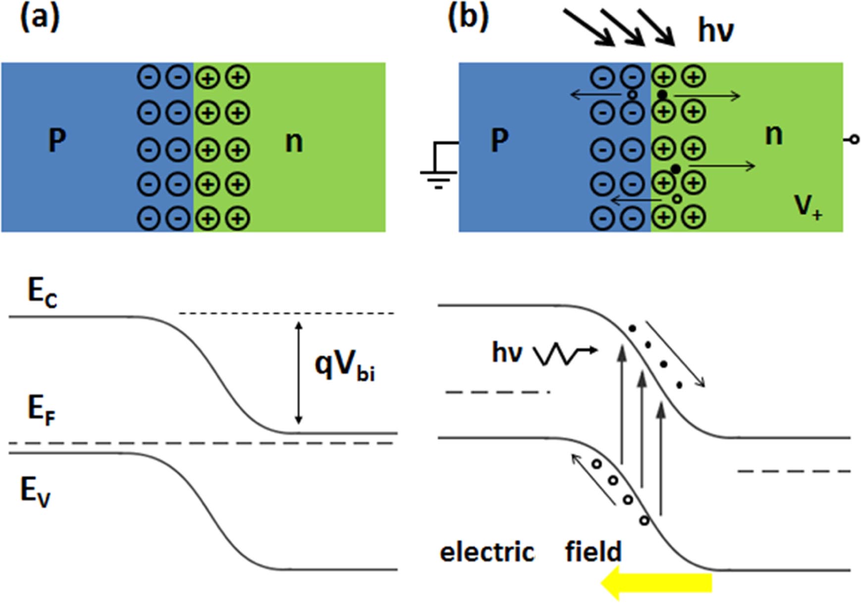 RYU Semiconductor ultraviolet photodetectors based on ZnO and