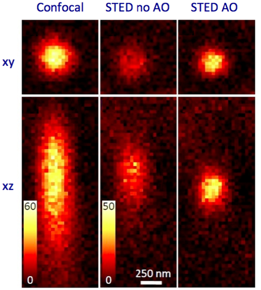 The 2015 super-resolution microscopy roadmap - IOPscience