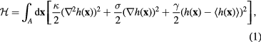 Equation (1)