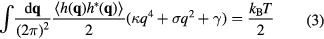 Equation (3)