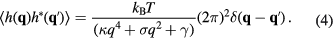 Equation (4)