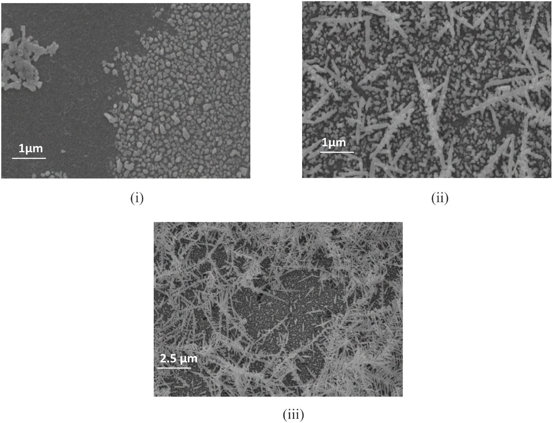 Wurtzite Raman Raman study of phase transformation from diamond structure to wurtzite ...