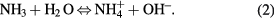 Equation (2)