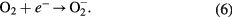 Equation (6)
