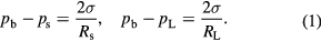 Equation (1)