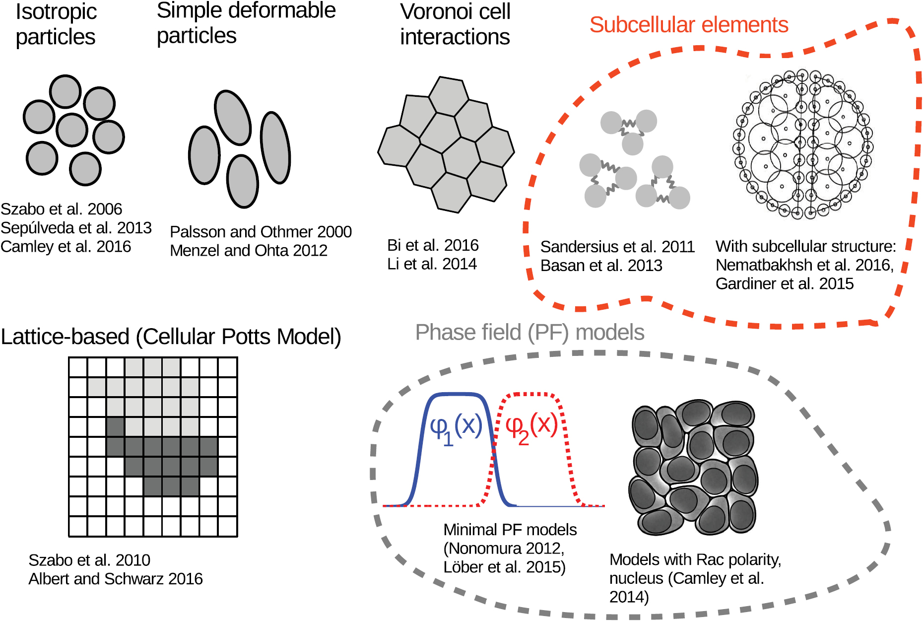 Physical models of collective cell motility: from cell to tissue