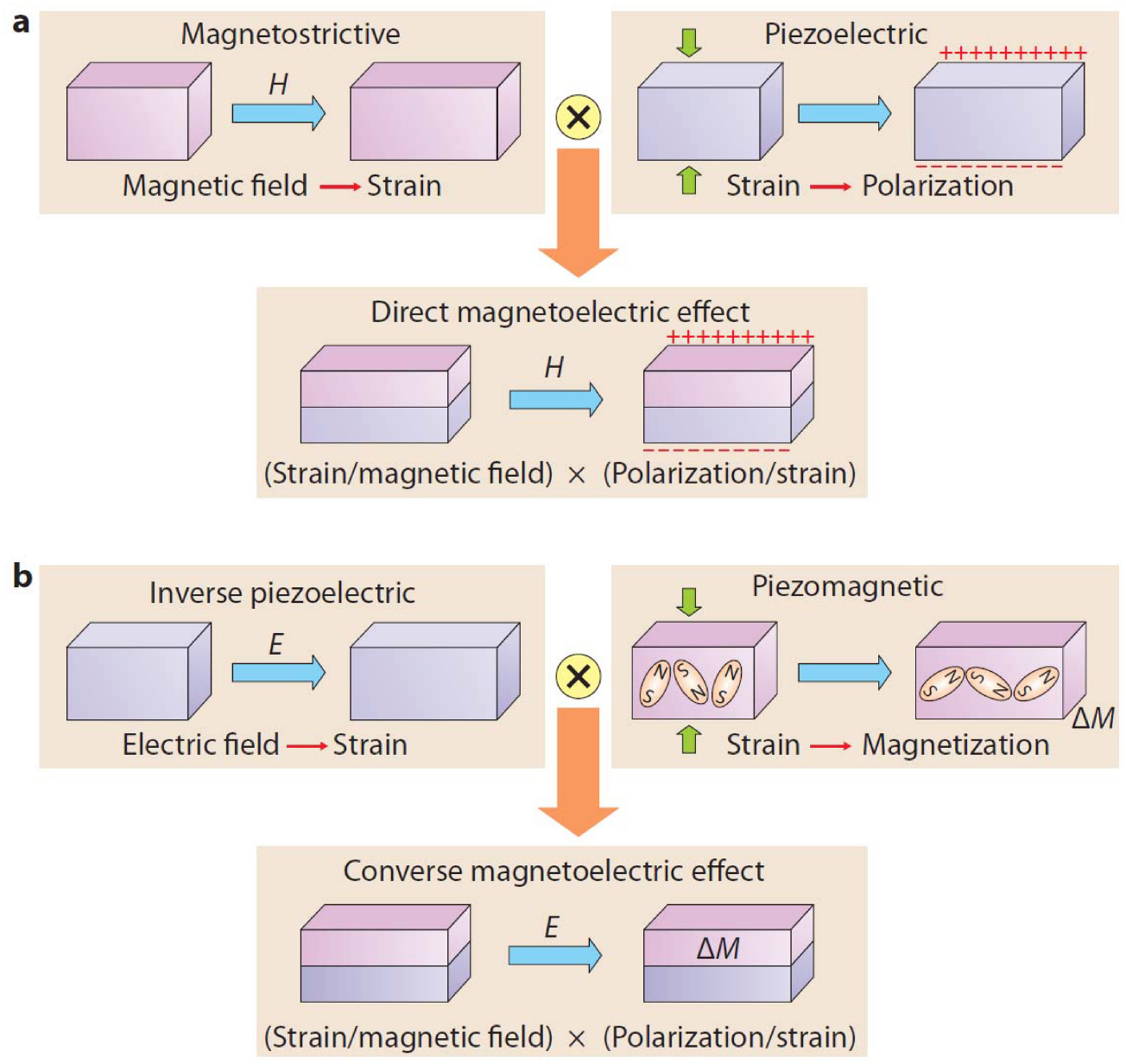 Multiferroic and magnetoelectric nanocomposites for data processing ...