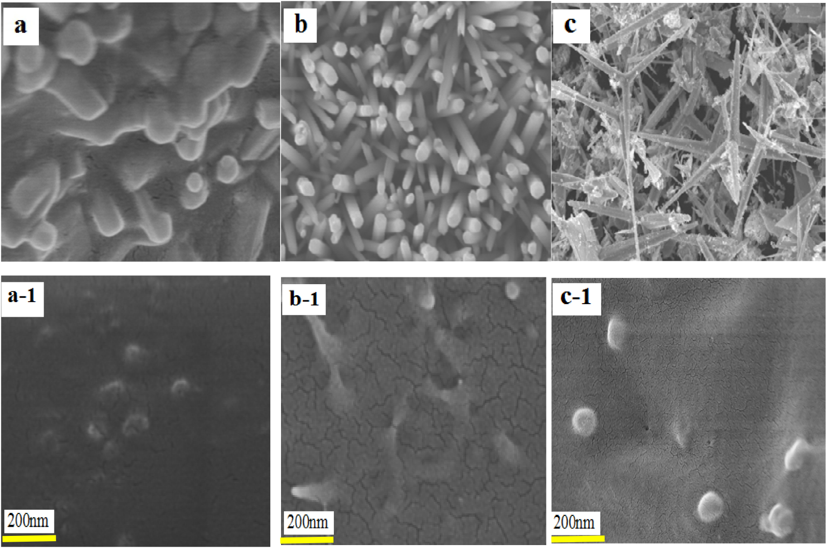 Effect of multi-structured zinc oxide on the electrical properties of ...