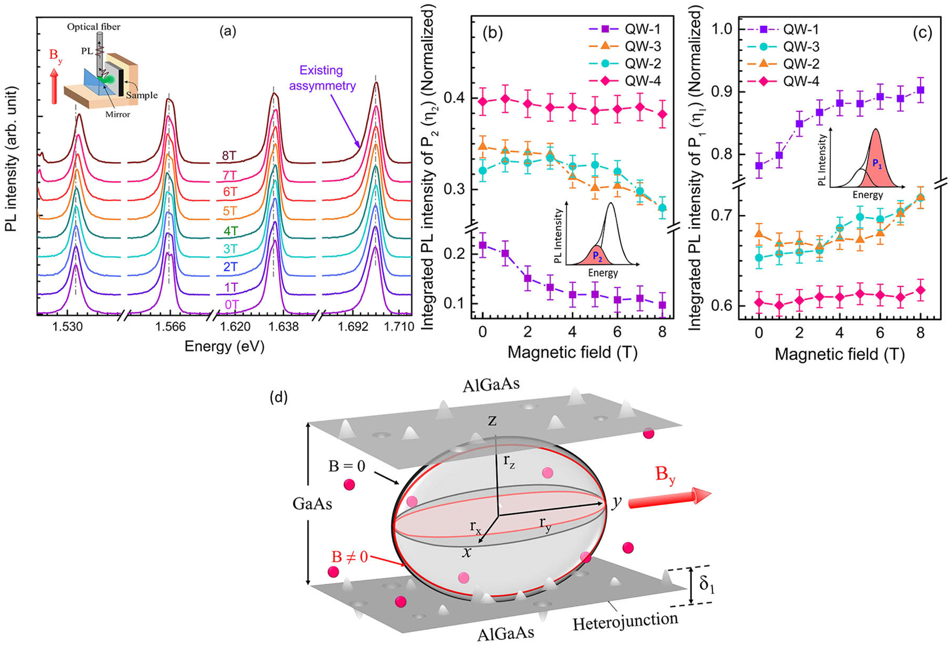 The effect of magnetic field on free and bound exciton luminescence in ...