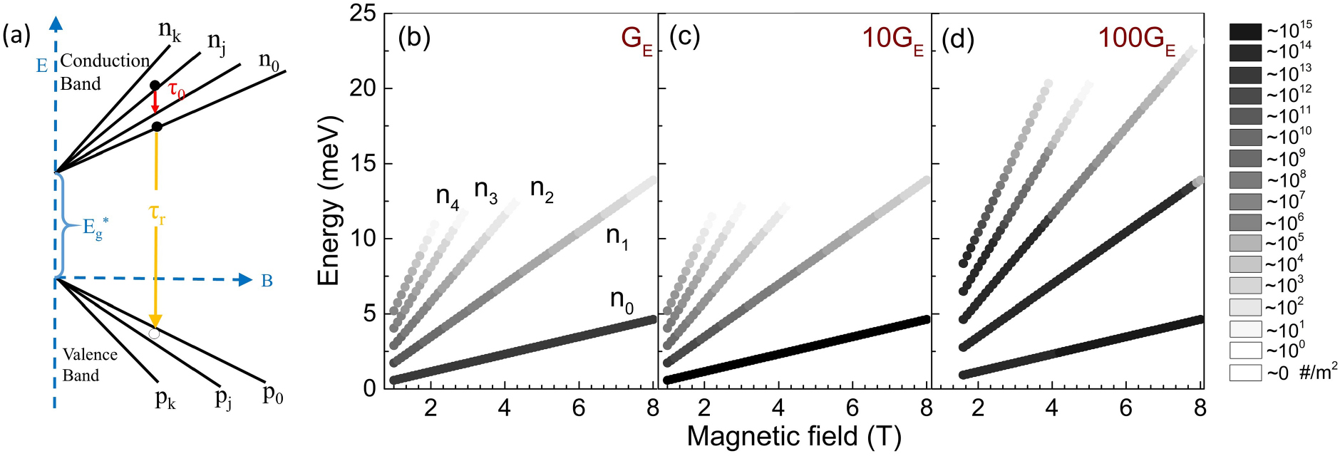 The effect of magnetic field on free and bound exciton luminescence in ...
