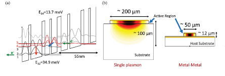 Figure 1. Refer to the following caption and surrounding text.