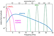 Figure 2. Refer to the following caption and surrounding text.