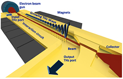 Figure 3. Refer to the following caption and surrounding text.