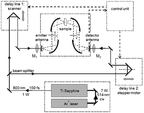 Figure 12. Refer to the following caption and surrounding text.