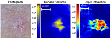 Figure 17. Refer to the following caption and surrounding text.