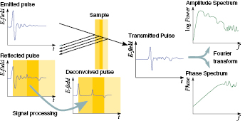 Figure 19. Refer to the following caption and surrounding text.