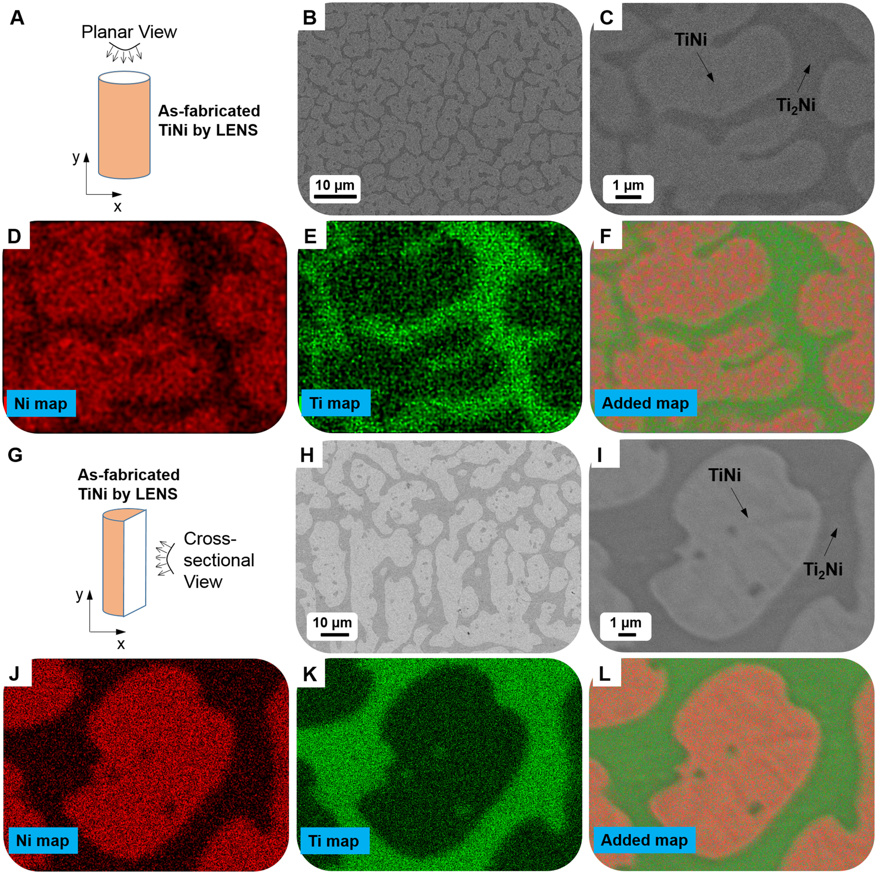 Elastocaloric cooling of additive manufactured shape memory alloys with ...