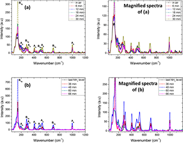 Nav2o5 Raman Blue- and red-shifts of V2O5 phonons in NH3 environment by in situ ...